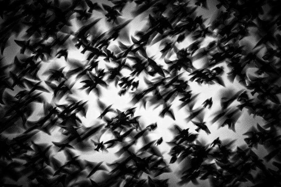 6f6abd1d-dd39-41e4-a613-af6eae6dcf55