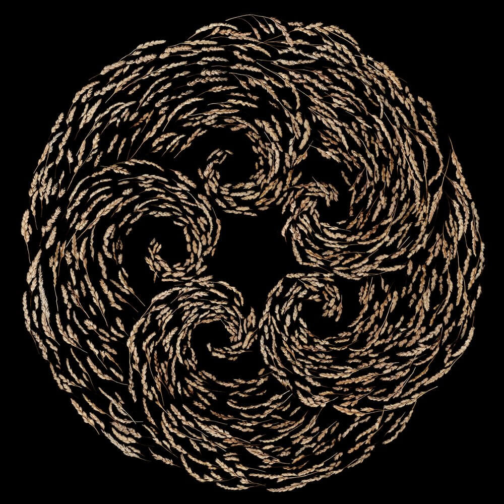 ae0e4c66-3d90-4ffa-b2ff-32148f3de4c0