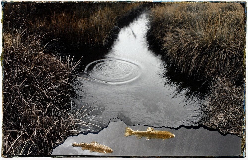 b19c6b4713bc570369ba472f02e6de96-large