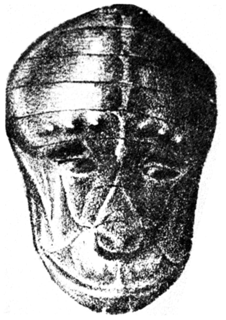 Az ázsiai Spaglis Epius bogárlepke bábja olyan, mint a rhesus majom arcképe, intropsych.com