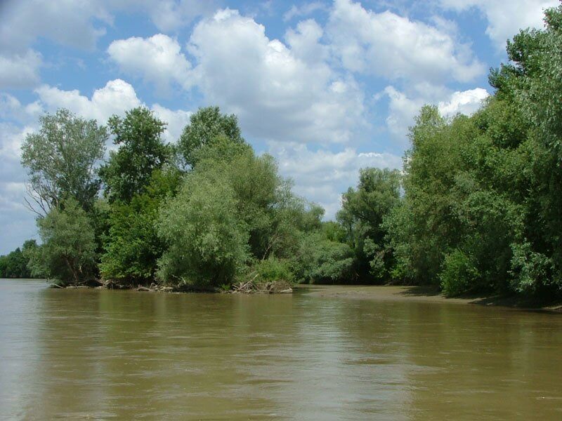 Tóthné Hanyecz Katalin fotója, kmnp.hu