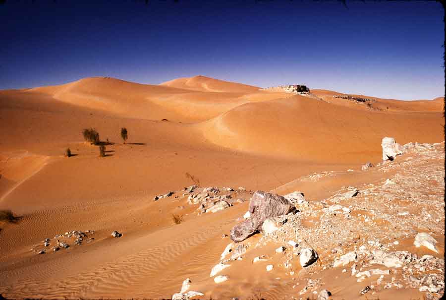 sahara1