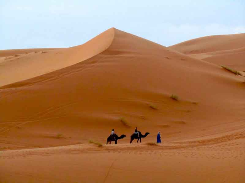 Jane Shortridge, flickr.com