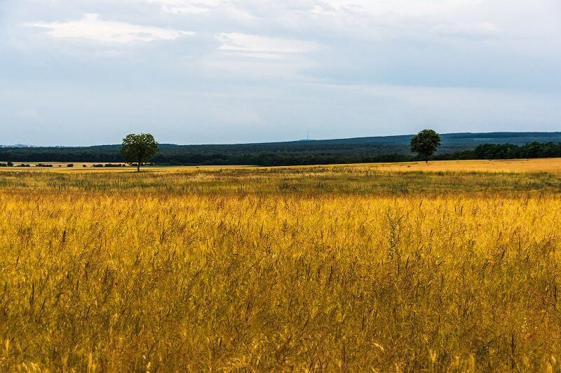 Dave Kneisz, flickr.com