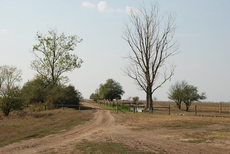 Antoine 49, flickr.com