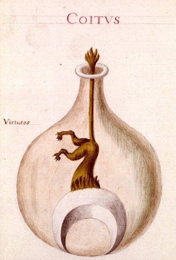 Alkímia – Illusztráció a Sapientia veterum philosophorumból (18. század), pinterest.com 