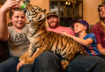 VESZÉLYES SZÉPSÉG