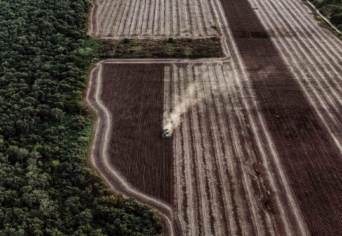 A MENNONITÁK ÉS A GMO SZÓJA