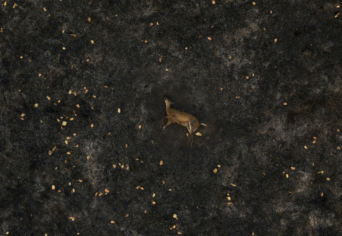 DAL A PUSZTÍTÁS ISTENÉRŐL