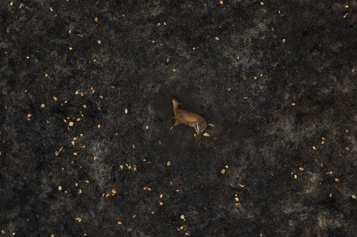 DAL A PUSZTÍTÁS ISTENÉRŐL