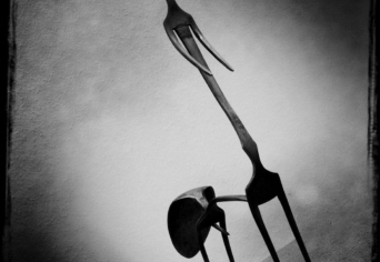 RÓZSASÁNDOR ÉS A BODZA