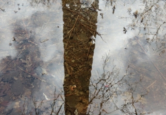 A JANUÁR MENEKÜLÉSE