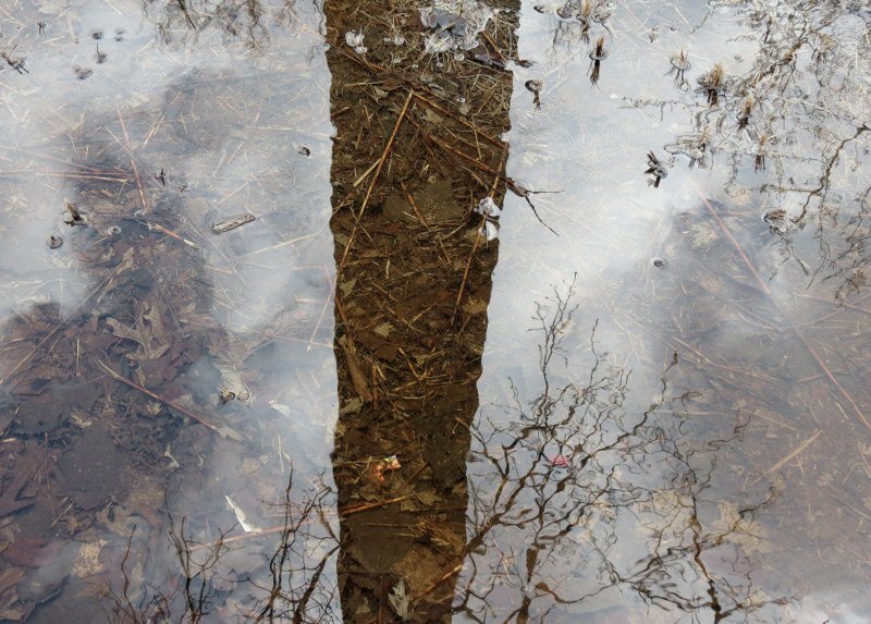 A JANUÁR MENEKÜLÉSE