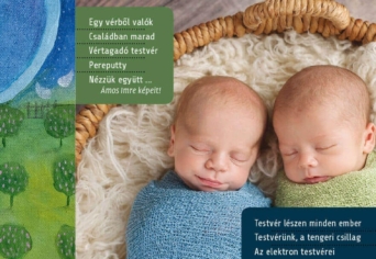 MEGJELENT A TAVASZI SZITAKÖTŐ