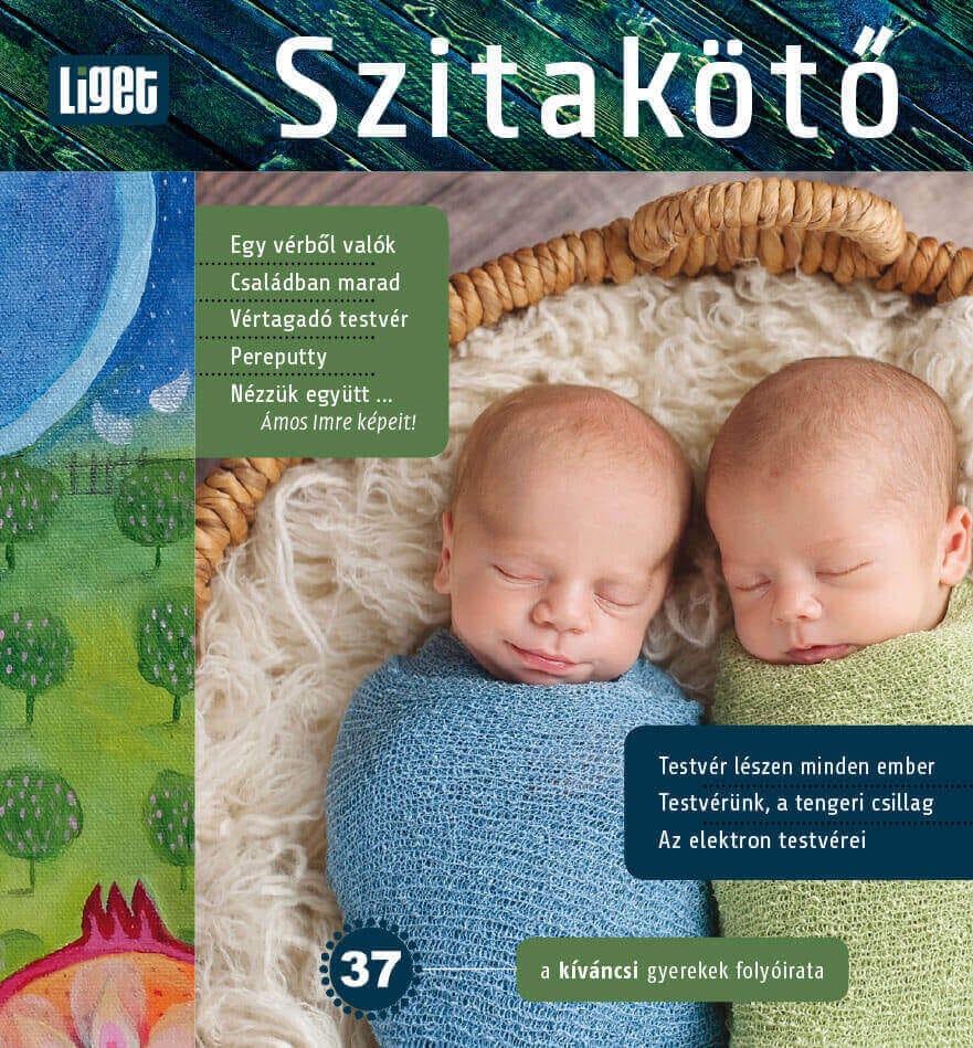 MEGJELENT A TAVASZI SZITAKÖTŐ