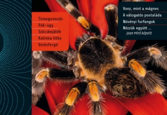 MEGJELENT AZ ŐSZI SZITAKÖTŐ