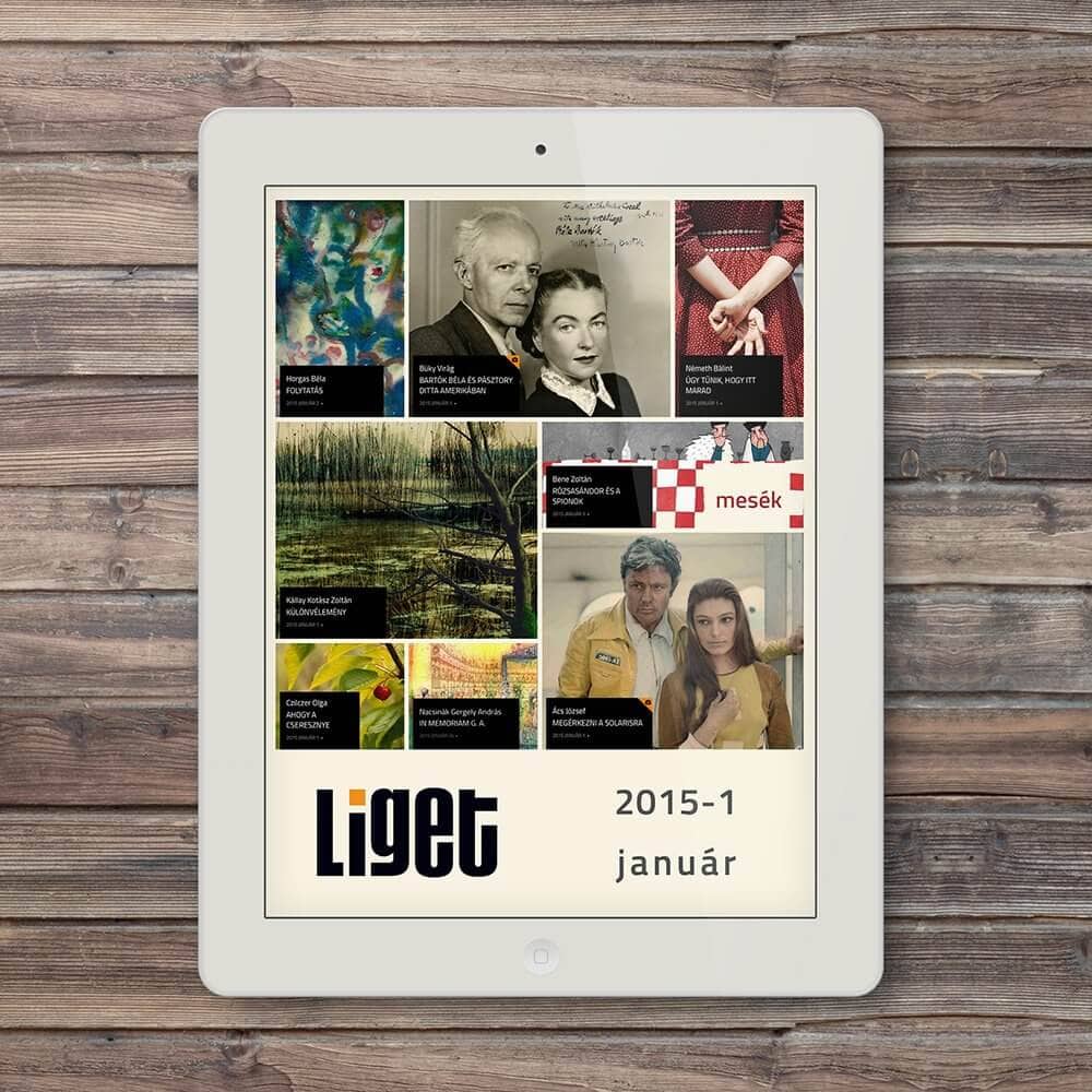 LIGET FOLYÓIRAT | 2015 JANUÁR
