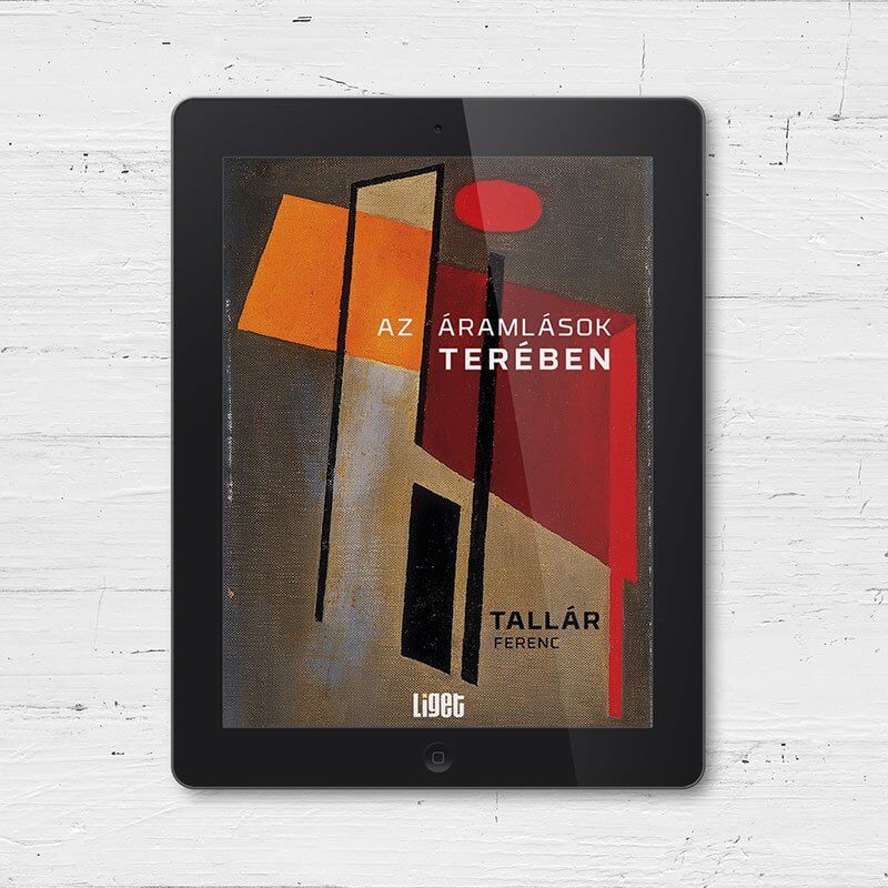 AZ ÁRAMLÁSOK TERÉBEN