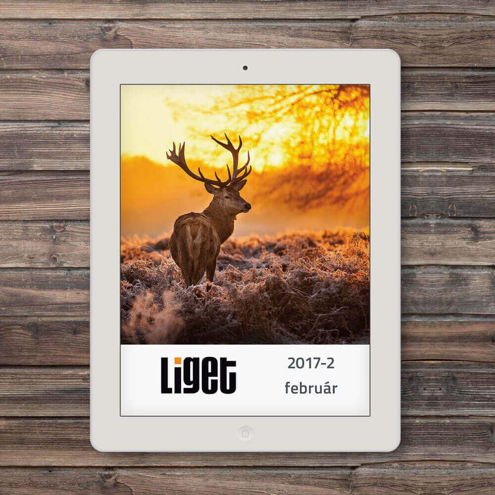 LIGET FOLYÓIRAT | 2017 FEBRUÁR