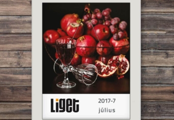 LIGET FOLYÓIRAT | 2017 JÚLIUS
