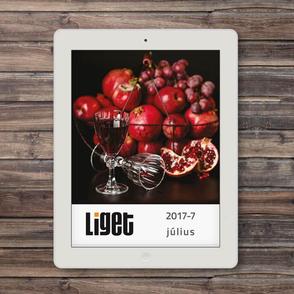 LIGET FOLYÓIRAT | 2017 JÚLIUS