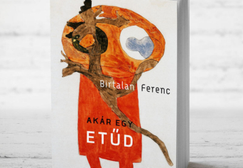 ÚJ KÖNYVÜNK: AKÁR EGY ETŰD