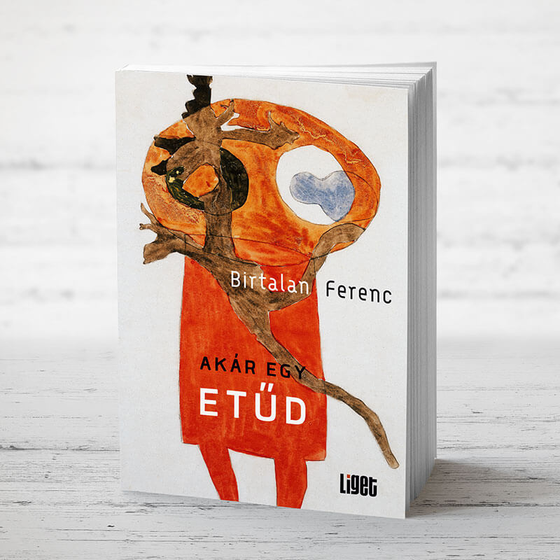 ÚJ KÖNYVÜNK: AKÁR EGY ETŰD
