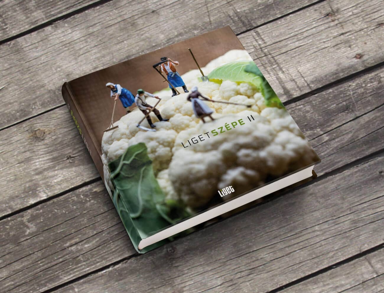 Ligetszépe II – ökológiai olvasókönyv