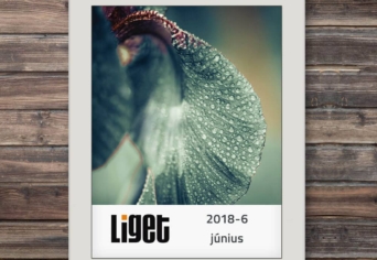 LIGET FOLYÓIRAT | 2018 JÚLIUS