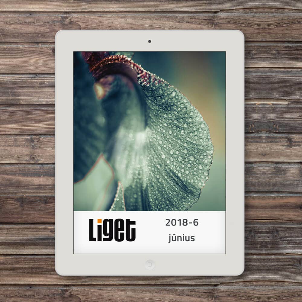 LIGET FOLYÓIRAT | 2018 JÚNIUS