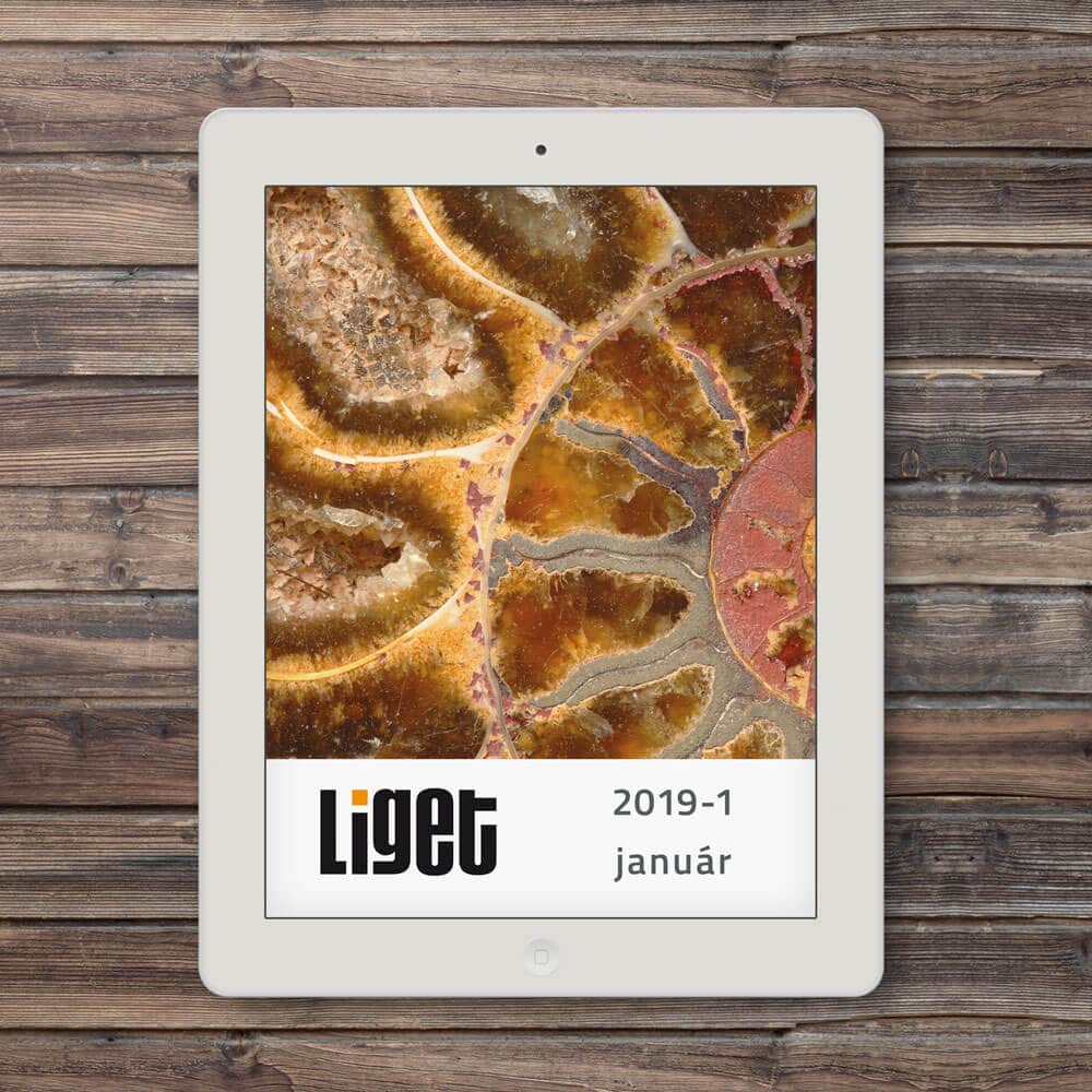 LIGET FOLYÓIRAT | 2019 JANUÁR