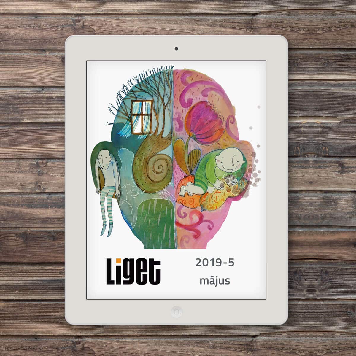 LIGET FOLYÓIRAT | 2019 MÁJUS