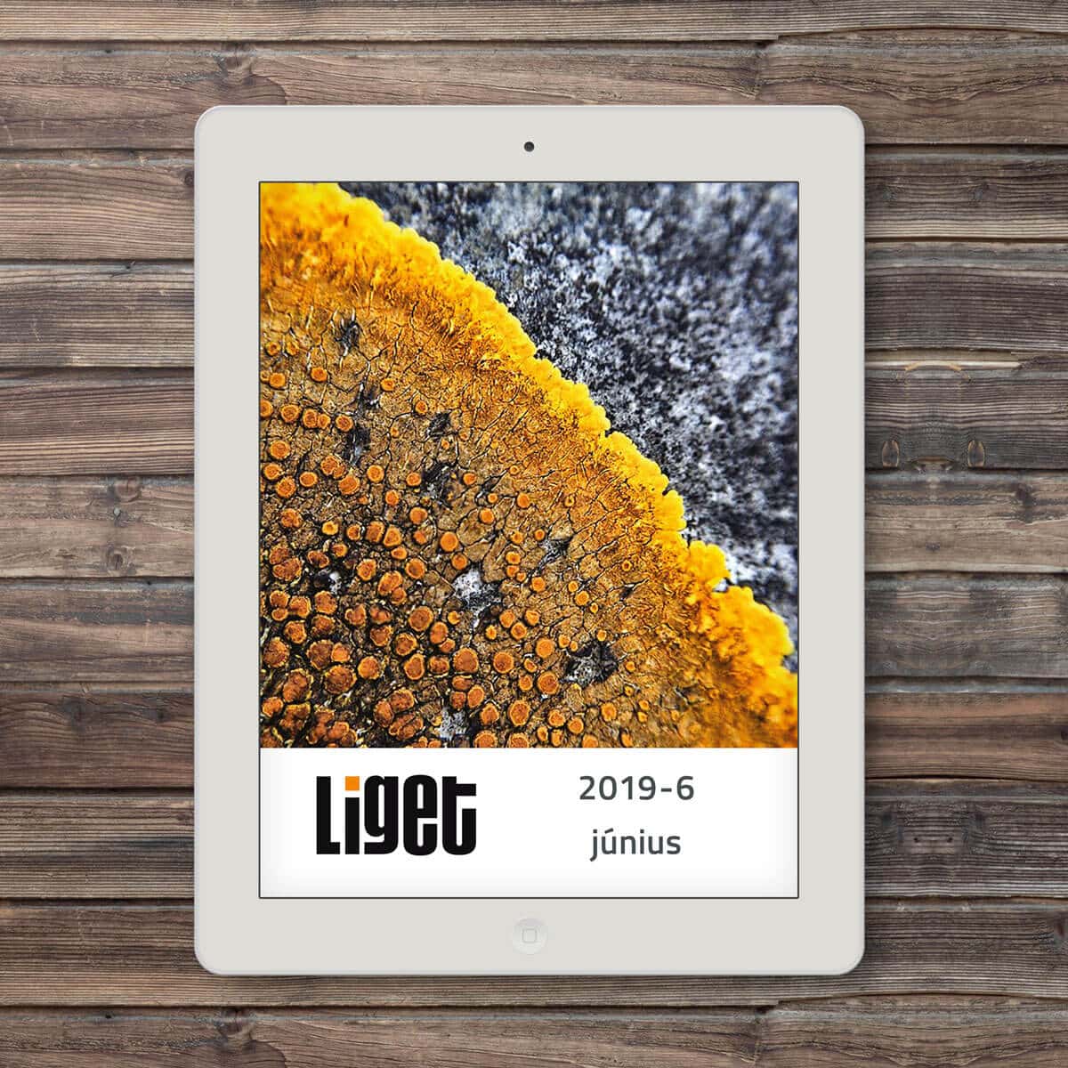 LIGET FOLYÓIRAT | 2019 JÚNIUS