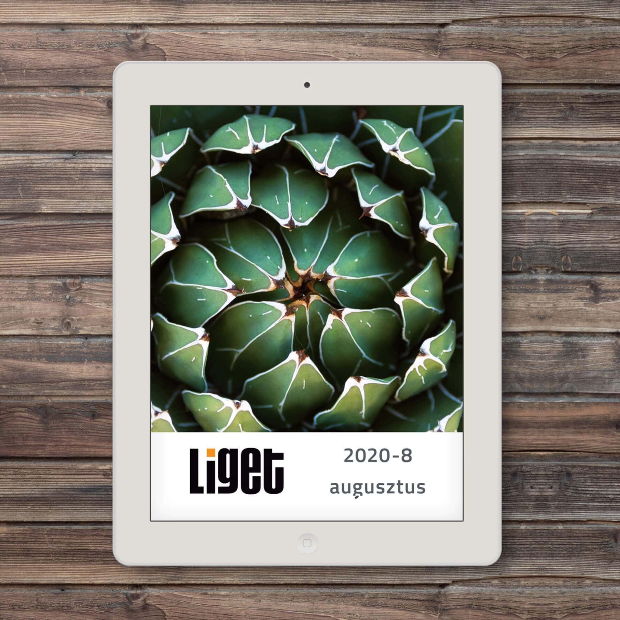 LIGET FOLYÓIRAT | 2020 AUGUSZTUS