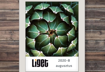 LIGET FOLYÓIRAT | 2020 AUGUSZTUS
