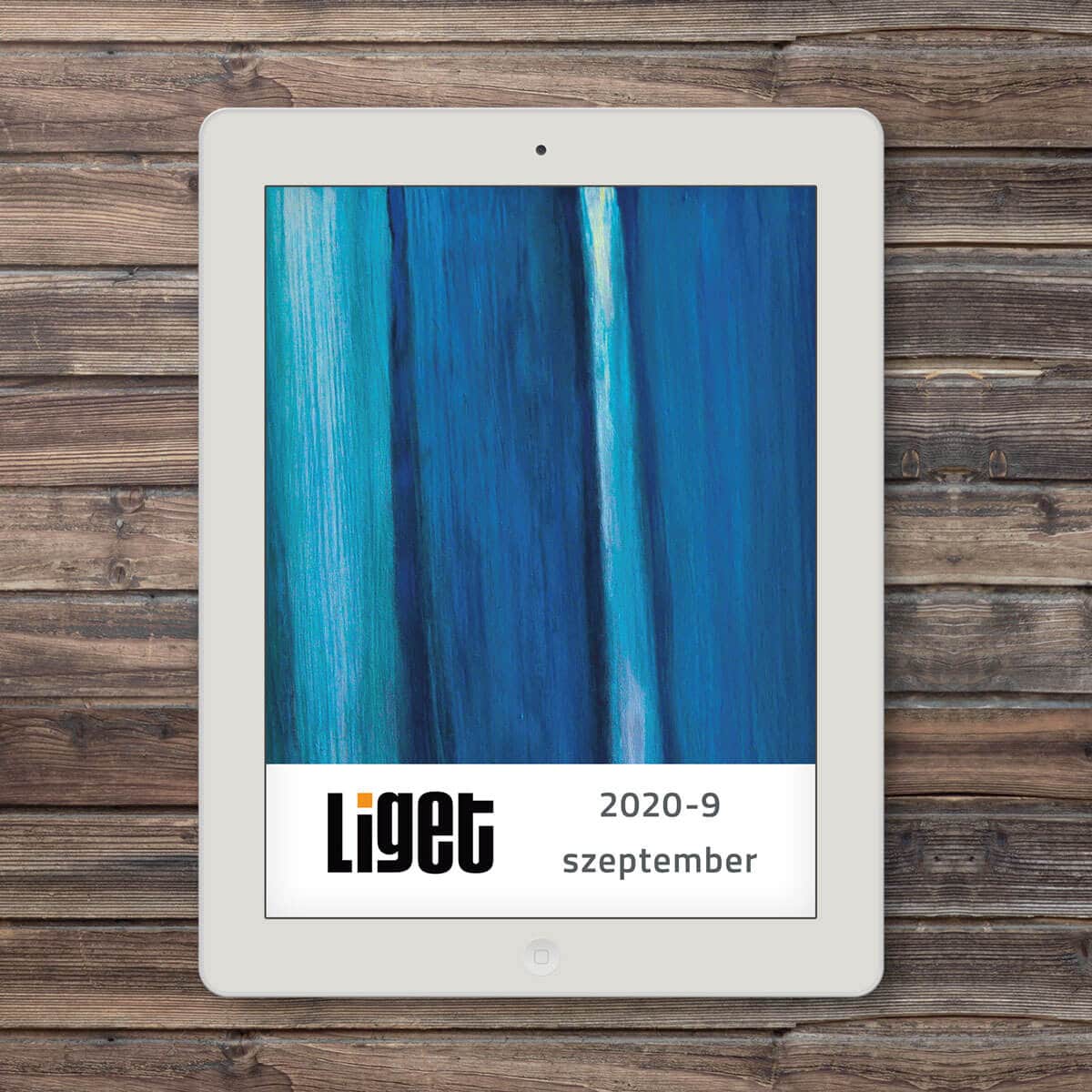 LIGET FOLYÓIRAT | 2020 SZEPTEMBER