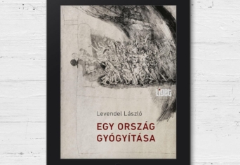 ÚJ E-KÖNYVÜNK | EGY ORSZÁG GYÓGYÍTÁSA