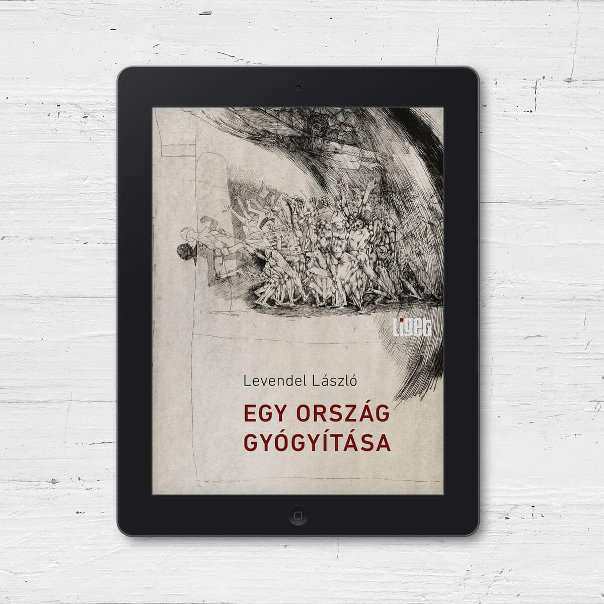 ÚJ E-KÖNYVÜNK | EGY ORSZÁG GYÓGYÍTÁSA