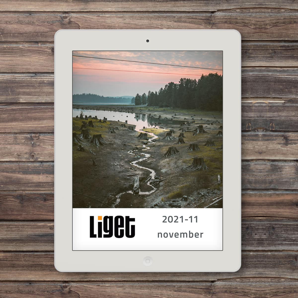 LIGET FOLYÓIRAT | 2021 november