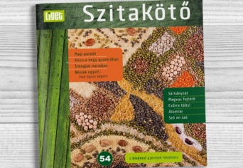 MEGJELENT A NYÁRI SZITAKÖTŐ