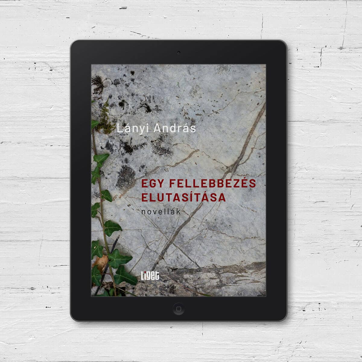 ÚJ E-KÖNYVÜNK: EGY FELLEBBEZÉS ELUTASÍTÁSA