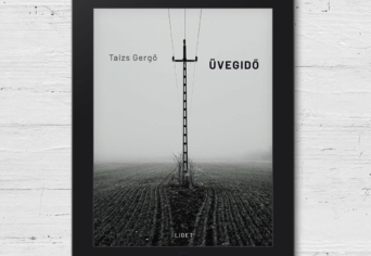 ÚJ E-KÖNYVÜNK: ÜVEGIDŐ