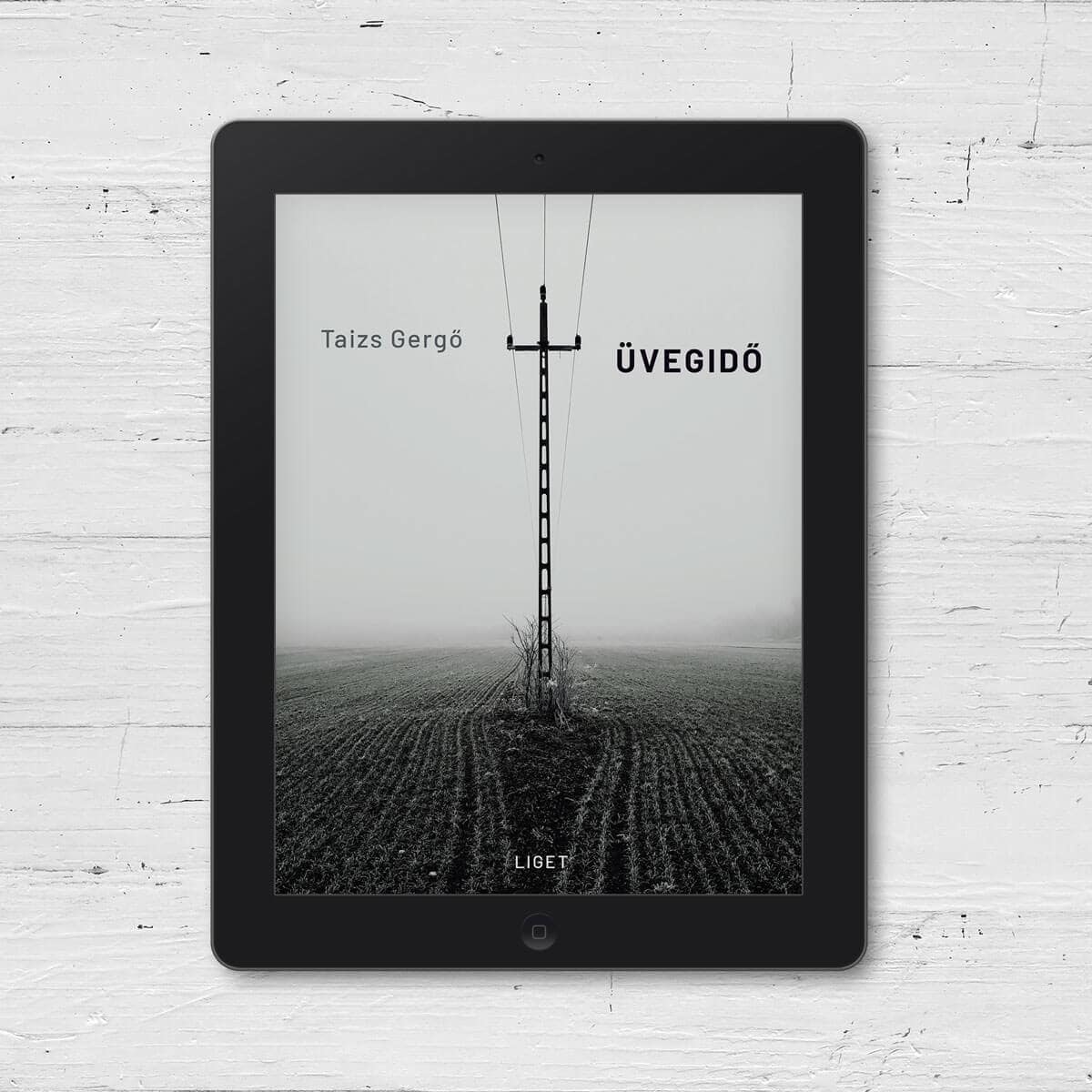 ÚJ E-KÖNYVÜNK: ÜVEGIDŐ