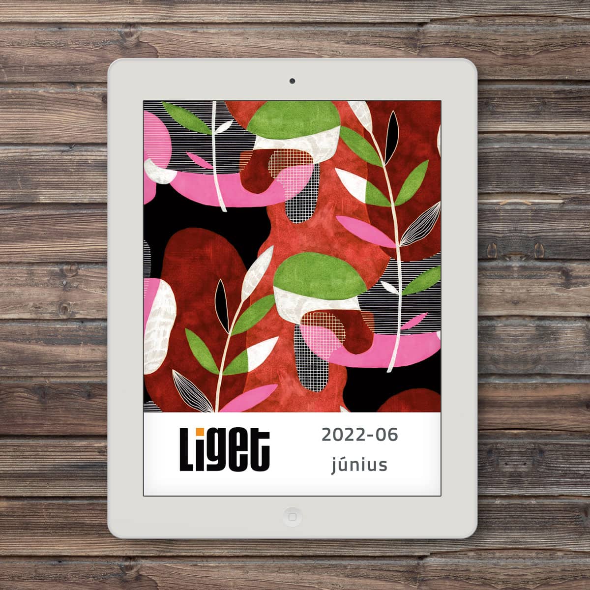 LIGET FOLYÓIRAT | 2022 június