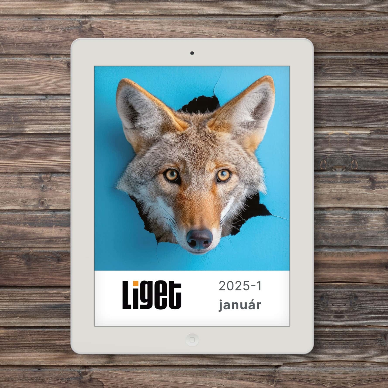 LIGET FOLYÓIRAT | 2025 január