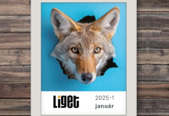 LIGET FOLYÓIRAT | 2025 január