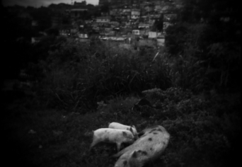 A SZÉPSÉG KOLDUSAI