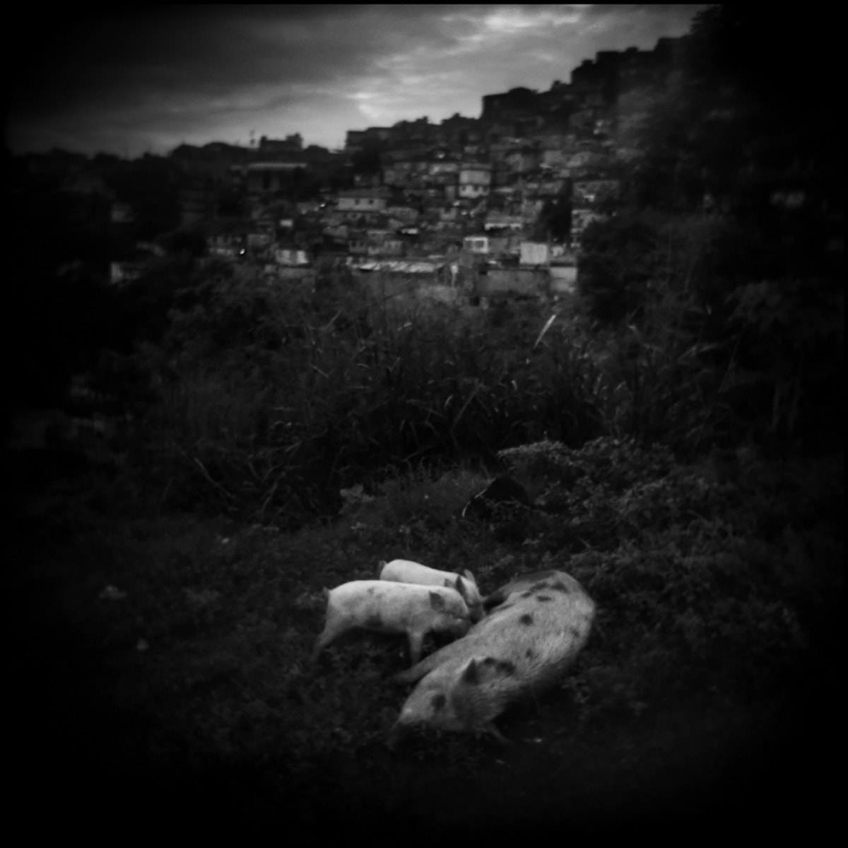 A SZÉPSÉG KOLDUSAI