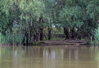 GÉHER ISTVÁN VERSÉRŐL