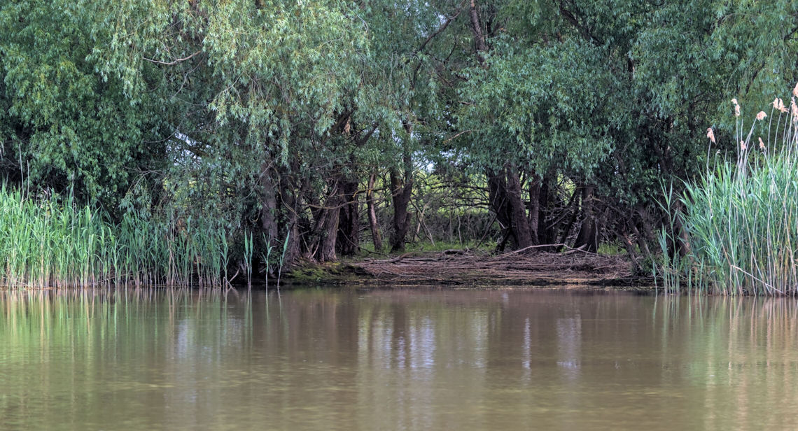 GÉHER ISTVÁN VERSÉRŐL